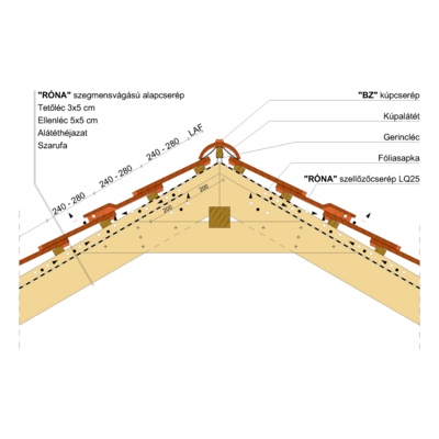 RONA_SZEGM_GERINC_01