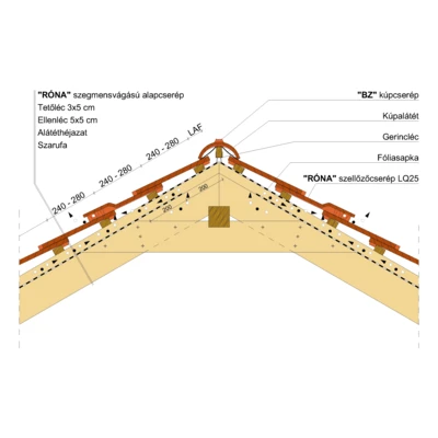 RONA_SZEGM_GERINC_01