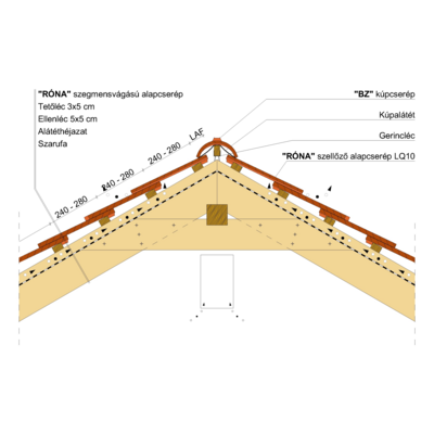 RONA_SZEGM_GERINC_02