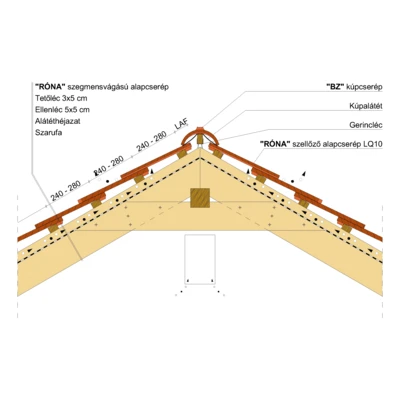 RONA_SZEGM_GERINC_02