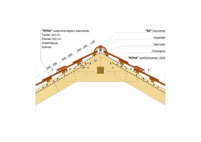RONA_SZEGM_GERINC_01