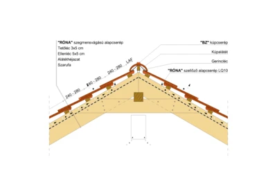RONA_SZEGM_GERINC_02