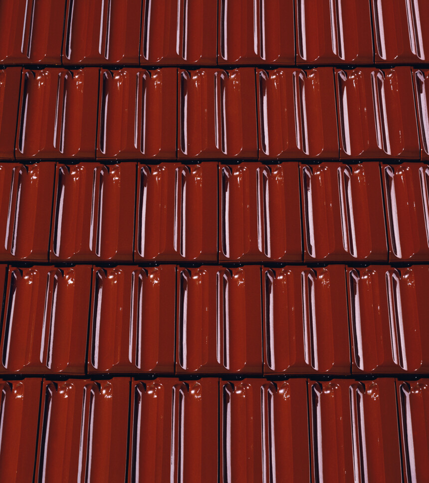 Borvörös üvegmáz – laying